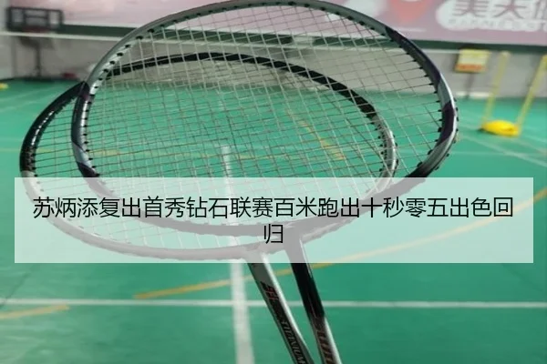su-bing-tian-fu-chu-shou-xiu-zuan-shi-lian-sai-bai-mi-pao-chu-shi-miao-ling-wu-chu-se-hui-gui-2-167.jpg