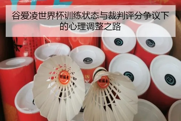 gu-ai-ling-shi-jie-bei-xun-lian-zhuang-tai-yu-cai-pan-ping-fen-zheng-yi-xia-de-xin-li-tiao-zheng-zhi-lu-2-293.jpg